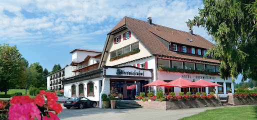 AF1QipMcbXDNaEEjgJo8GrJIZh8fwEjeNa6-2Dkbzz10w514-h240-k-no.jpg
