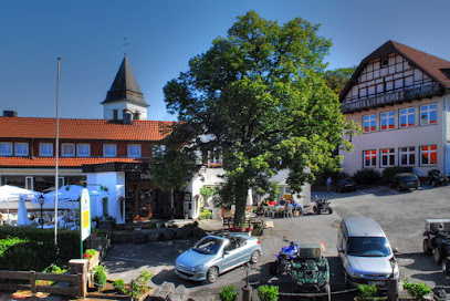 AF1QipMdb_PAESgczlIyzh7vf1qCeid8Ng8wk6BY3leOw408-h272-k-no.jpg