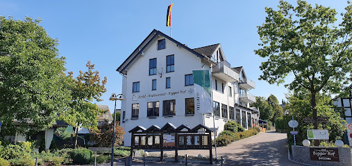 AF1QipNWTdm1g1NQ2JZSBkgYZy_Hh1SkXl1-WrSQ-aO9w507-h240-k-no.jpg