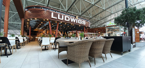 Ludwigs