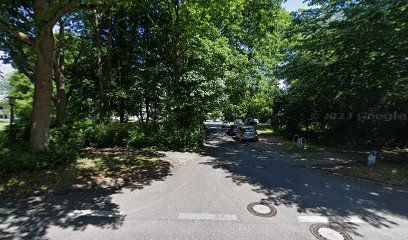 thumbnail-167.jpg