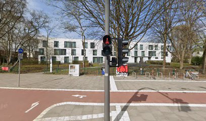thumbnail-184.jpg