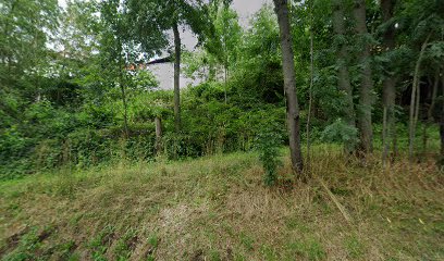 thumbnail-556.jpg