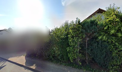 thumbnail-681.jpg