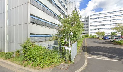 thumbnail-785.jpg